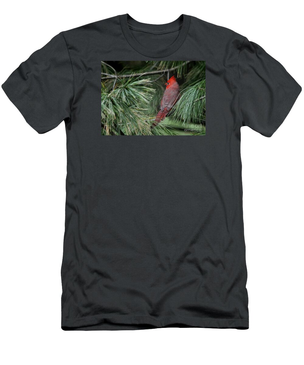 Nature T-Shirt featuring the photograph Red Cardinal in Green Pine by Nava Thompson