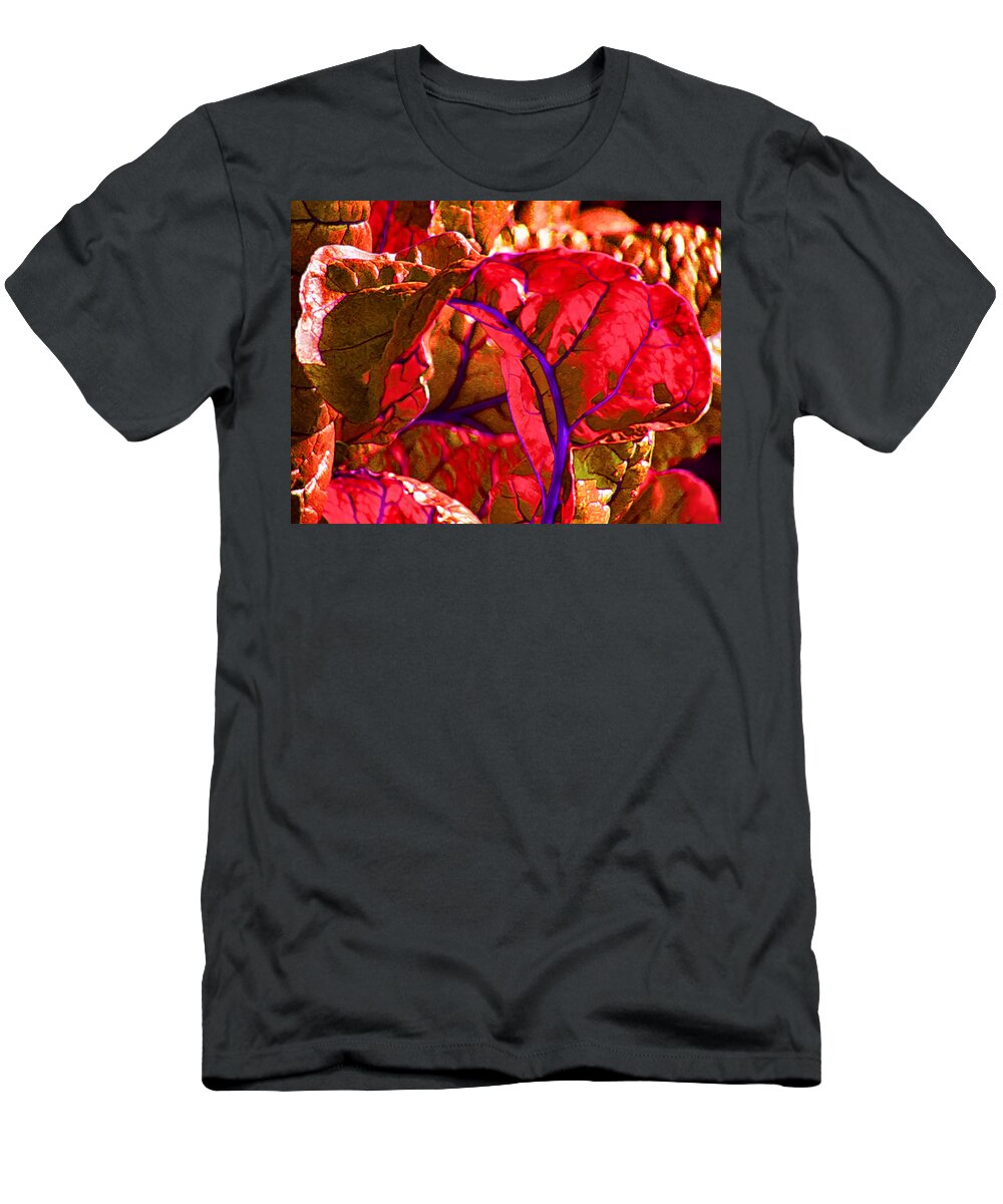 Chard T-Shirt featuring the photograph Red Chard by Rory Siegel