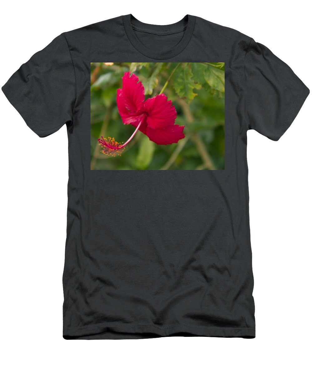 Hibiscus T-Shirt featuring the photograph Red Hibiscus by Roger Wedegis