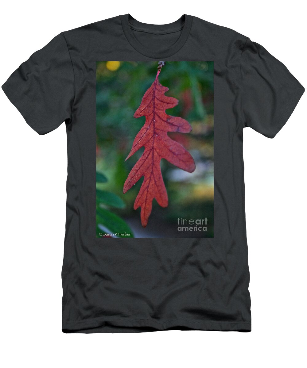 Outdoors T-Shirt featuring the photograph Red Leaf Hanging by Susan Herber