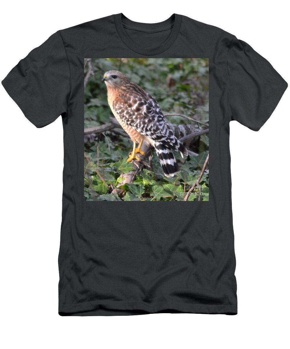 Bird T-Shirt featuring the photograph Red Shoulder Hawk by Mary Rogers