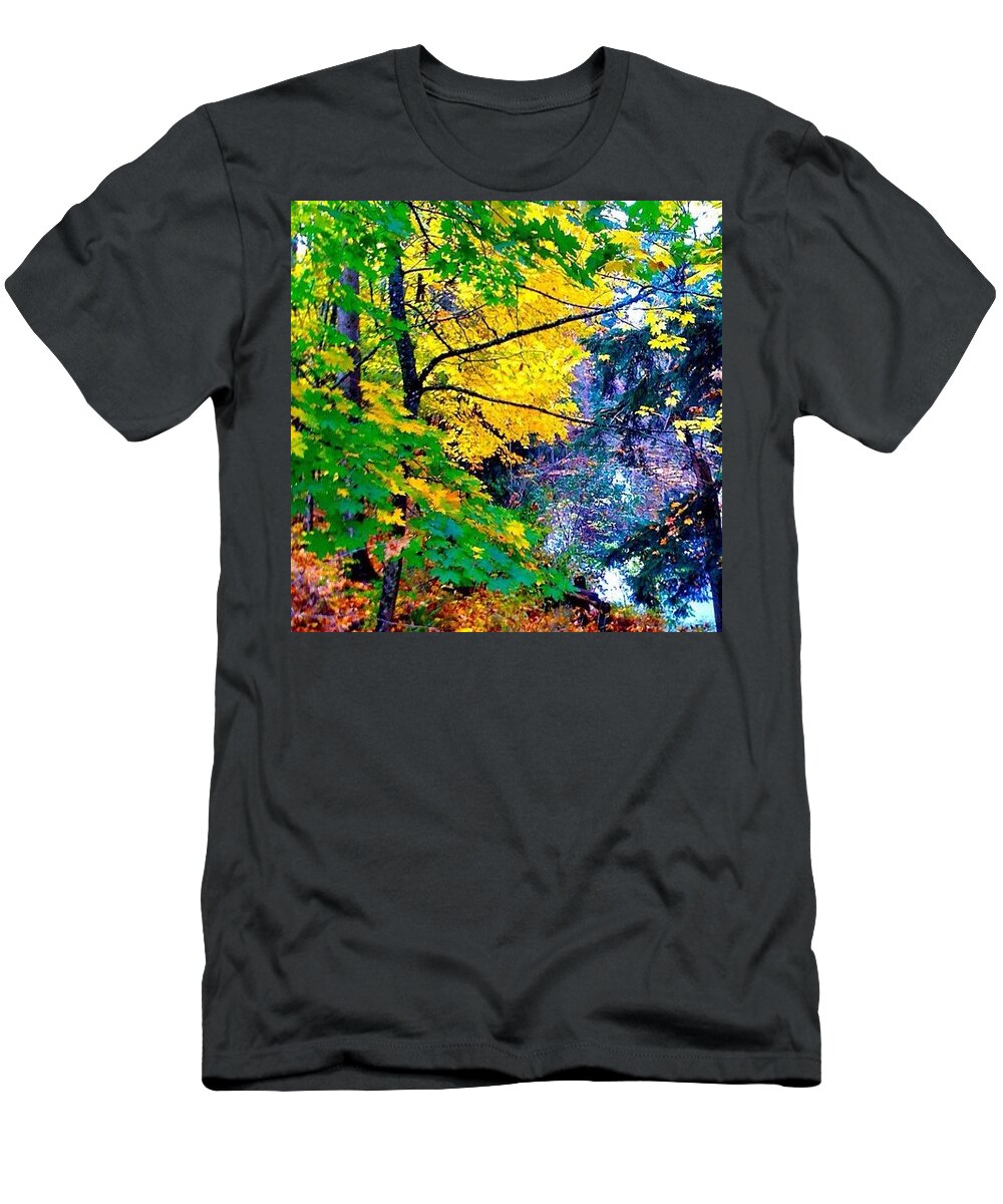 Reed College Canyon T-Shirt featuring the photograph Reed College Canyon Fall Leaves II by Anna Porter