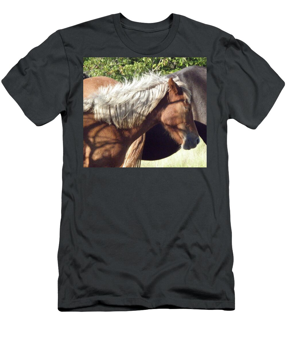 Foal T-Shirt featuring the photograph Resting by Kim Galluzzo