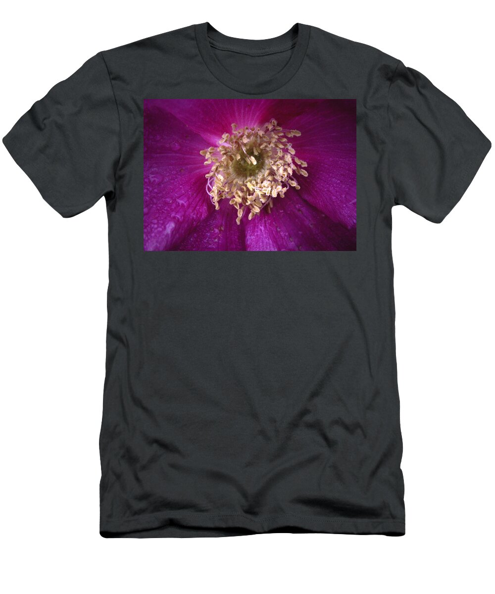 Rosa_rugosa T-Shirt featuring the photograph Rosa Rugosa the Beach Rose by Nancy Griswold