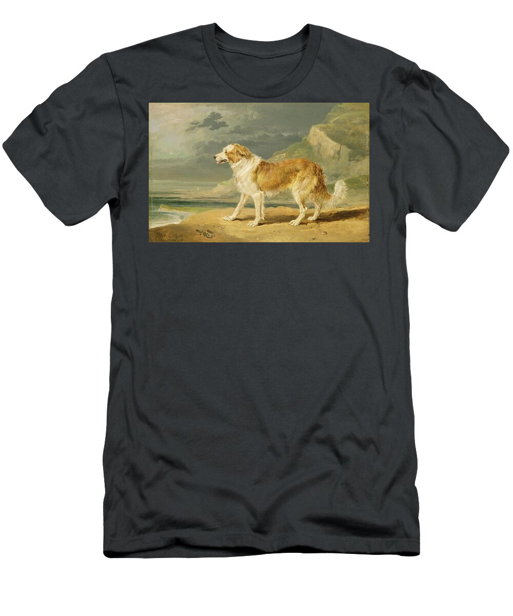Xyc217381 T-Shirt featuring the photograph Rough-coated Collie by James Ward