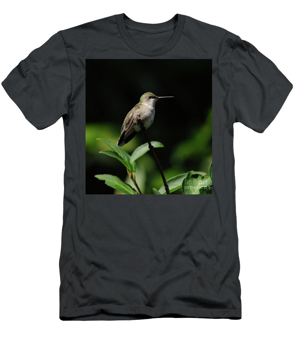 Green T-Shirt featuring the photograph Ruby-Throated Hummingbird Female by Ronald Grogan