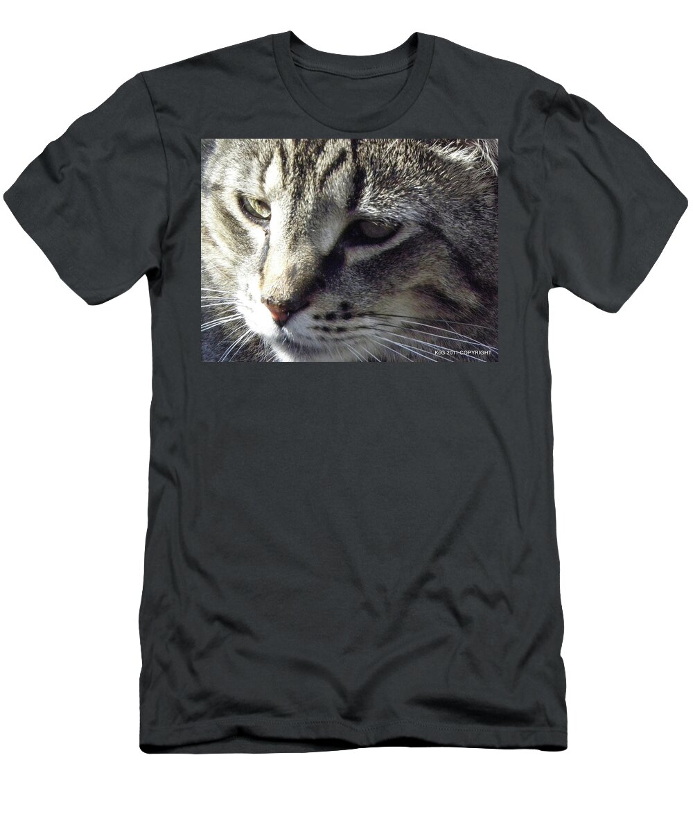 Cat T-Shirt featuring the photograph Serious by Kim Galluzzo