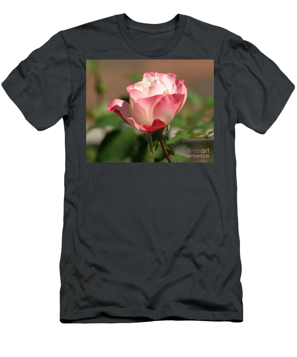 Roses T-Shirt featuring the photograph Shades Of Pink by Living Color Photography Lorraine Lynch