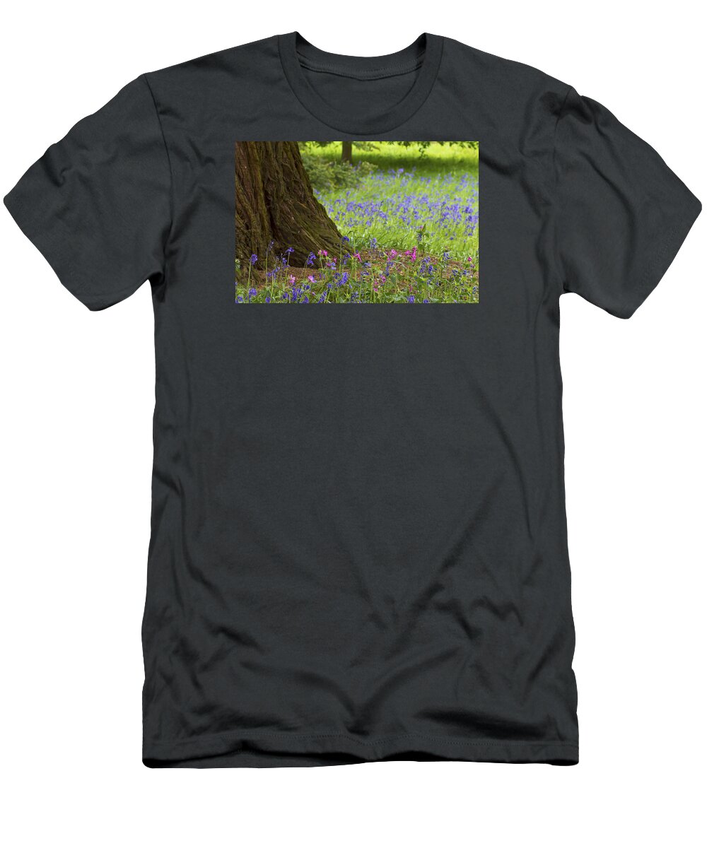 Clare Bambers T-Shirt featuring the photograph Sheltered by Clare Bambers