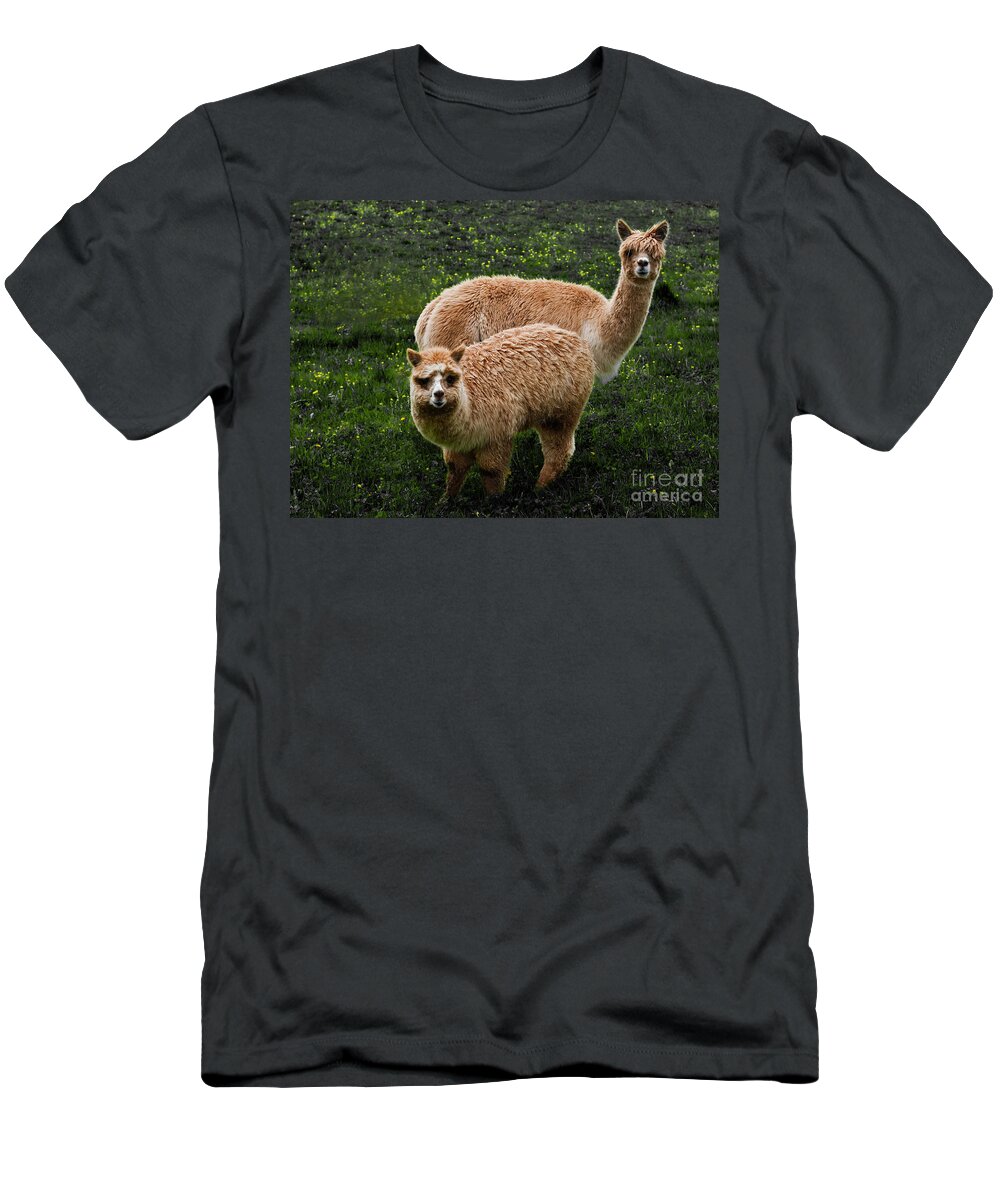 Animals T-Shirt featuring the photograph Short and Tall by Barbara McMahon