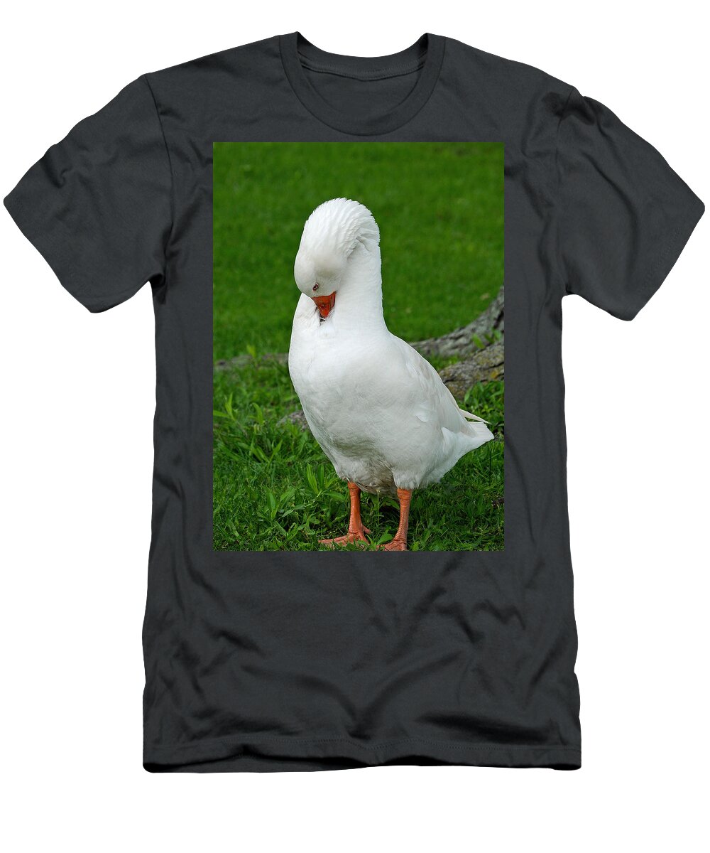 City Scenes T-Shirt featuring the photograph Shy Goose by Lisa Phillips