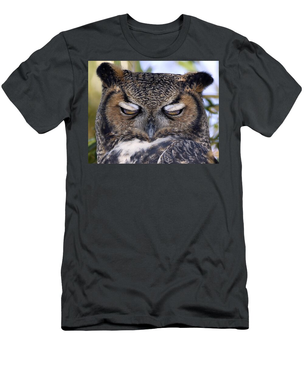 Landscape T-Shirt featuring the photograph Sleepy owl by John T Humphrey