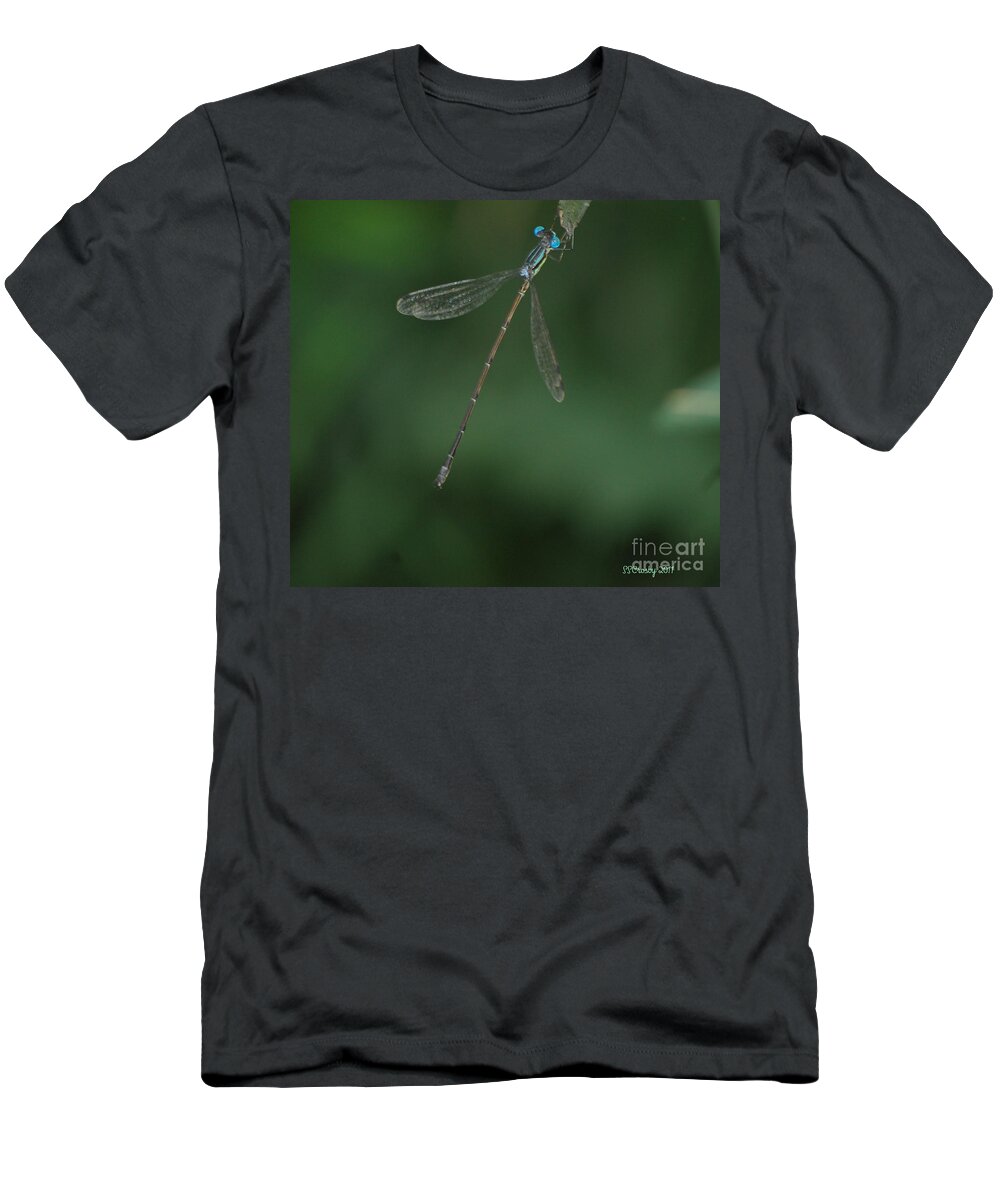 Slender Speadwing Damselfly T-Shirt featuring the photograph Slender Speadwing Damselfly by Susan Stevens Crosby