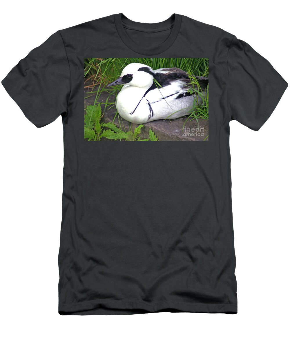 Smew T-Shirt featuring the photograph Smew by David Birchall