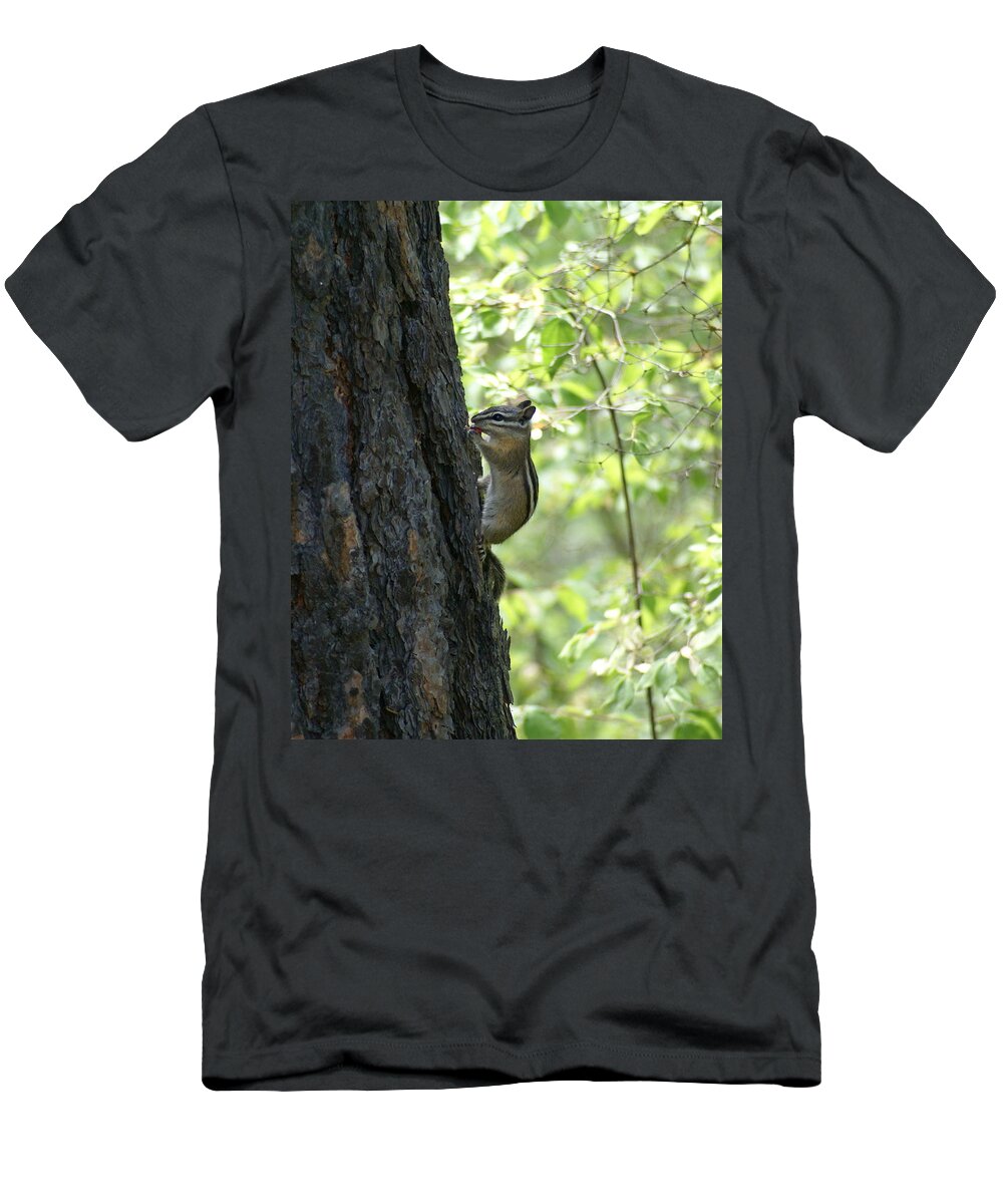 Chipmunk T-Shirt featuring the photograph Snacking in the Woods by Ben Upham III