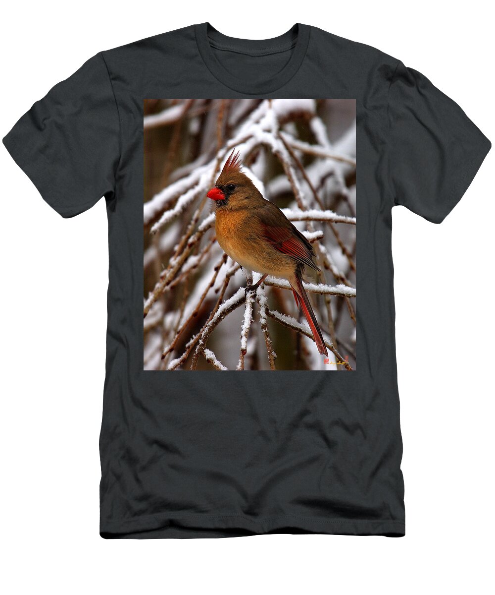 Nature T-Shirt featuring the photograph Snowbirds--Cardinal DSB025 by Gerry Gantt