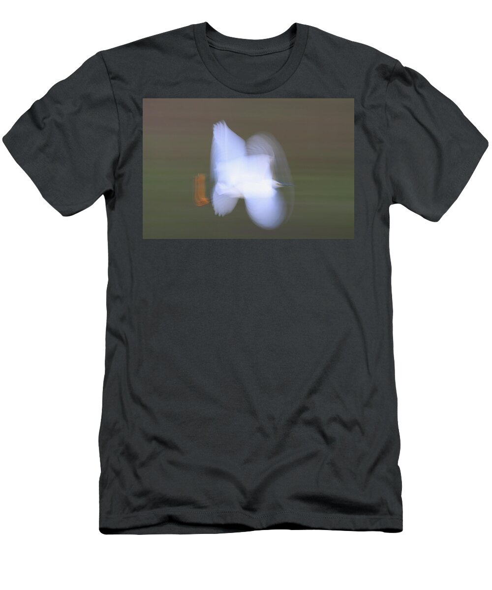 Mp T-Shirt featuring the photograph Snowy Egret Egretta Thula Flying by Scott Leslie