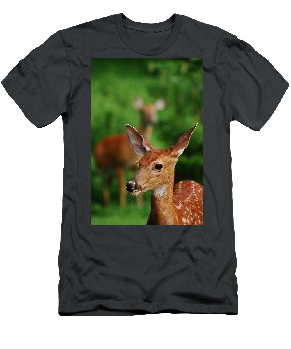 Deer T-Shirt featuring the photograph Someone to Watch Over Me by Lori Tambakis