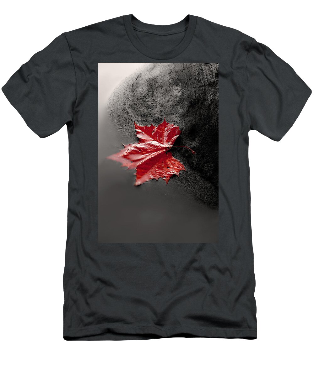 Single Red Leaf T-Shirt featuring the photograph Sound of Silence by Gray Artus