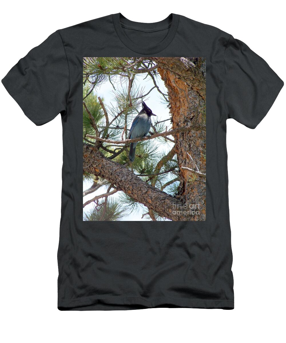 Birds T-Shirt featuring the photograph Stellar's Jay by Dorrene BrownButterfield