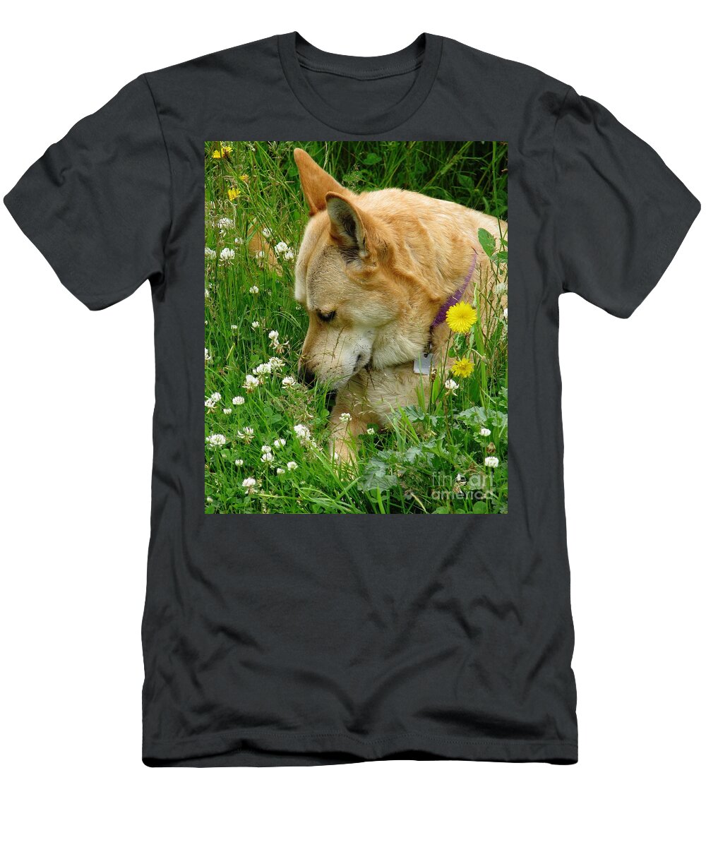 Dog T-Shirt featuring the photograph Stop And Smell The Clover by Rory Siegel