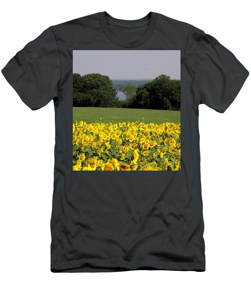 Sunflowers T-Shirt featuring the photograph Sunflower Landscape by Kim Galluzzo