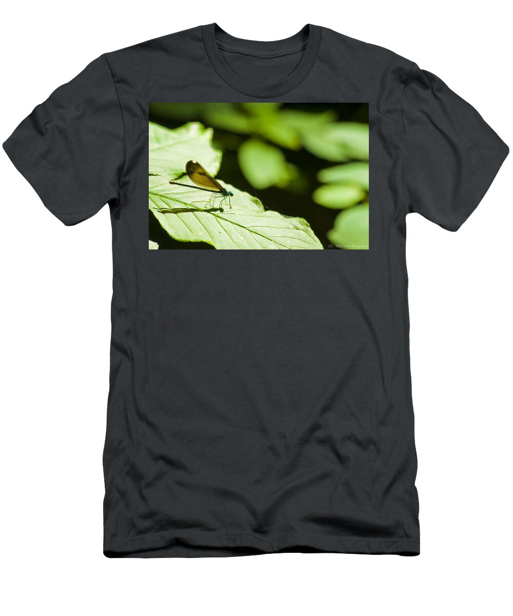 Dragonfly T-Shirt featuring the photograph Sunlit Dragonfly by Miss Crystal D