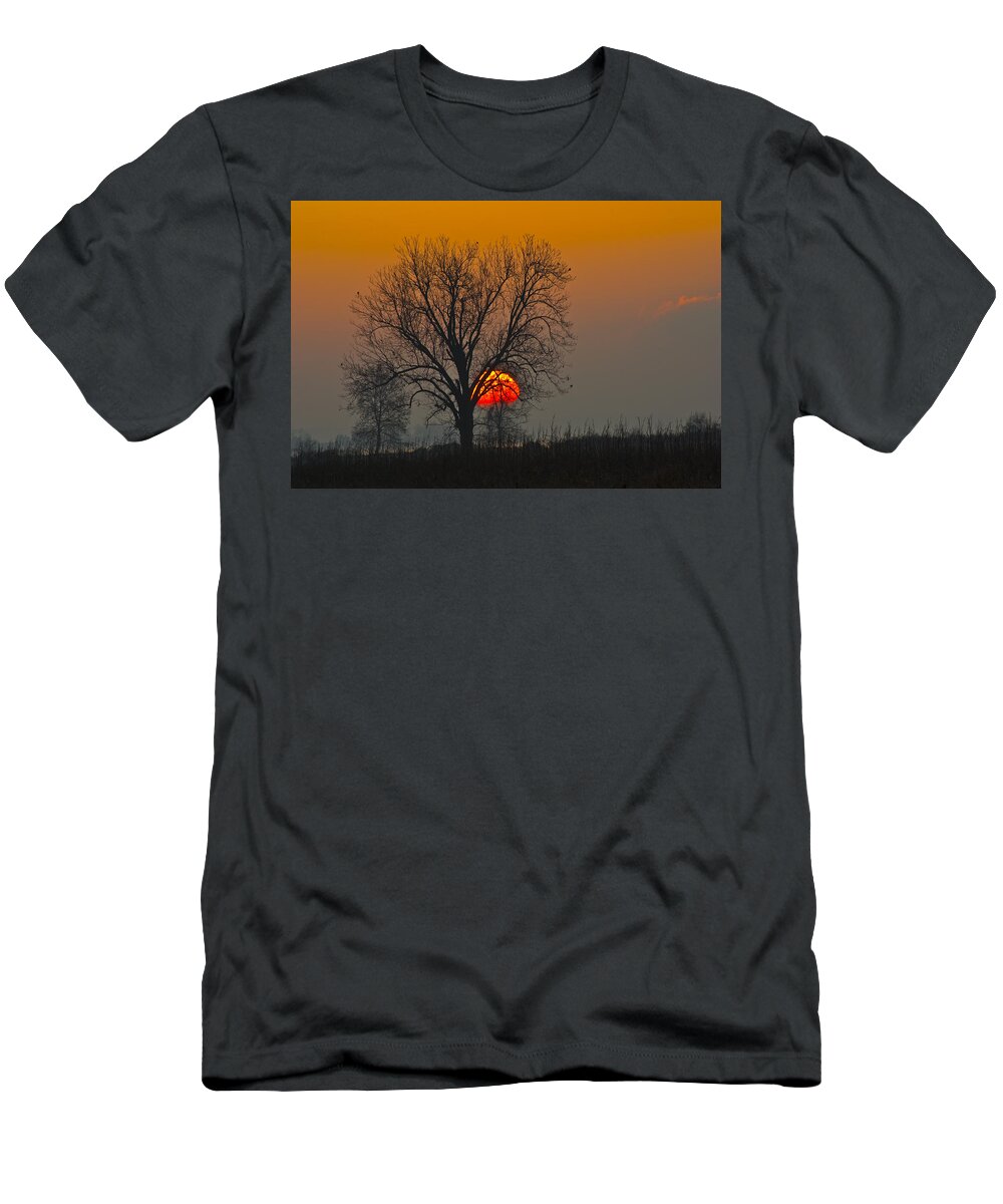 Nature Scenic Sun Sunrise Tree Oklahoma Sequoyah National Wildlife Refuge T-Shirt featuring the photograph Sunrise - 4810 by Jerry Owens