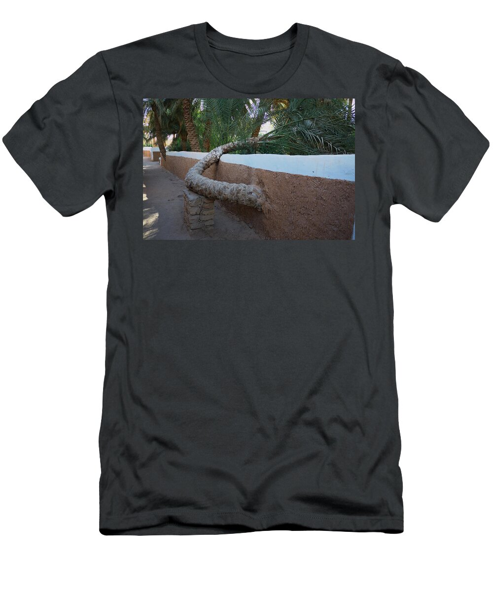 Palm T-Shirt featuring the photograph Support by Ivan Slosar