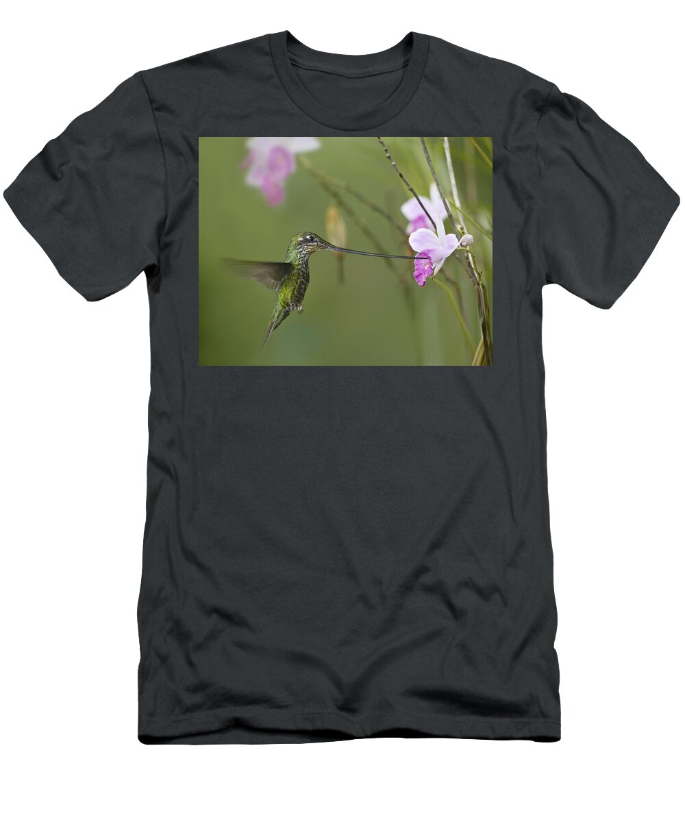 00486960 T-Shirt featuring the photograph Sword Billed Hummingbird Feeding by Tim Fitzharris
