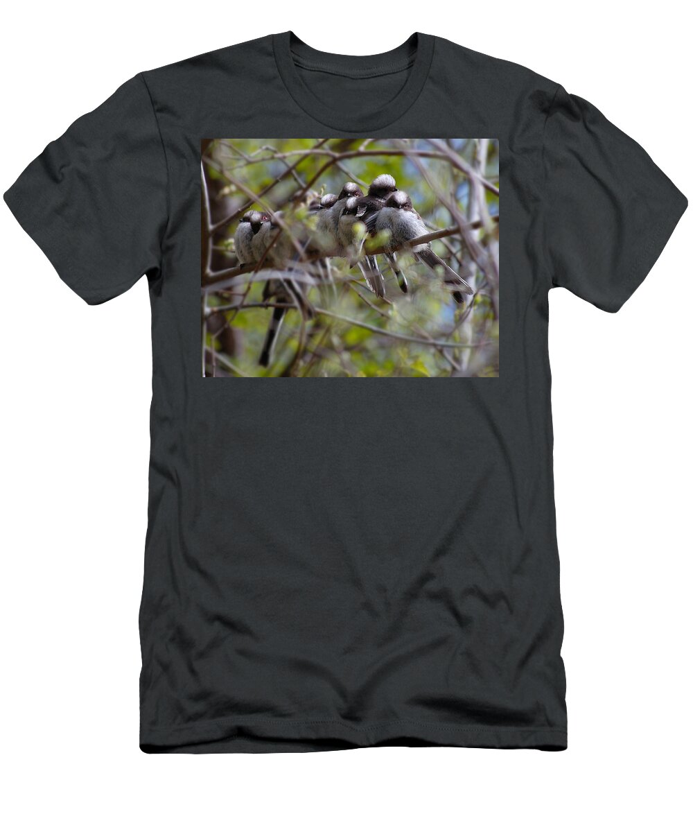 Long Tailed Tits T-Shirt featuring the photograph The huddle by Gavin Macrae