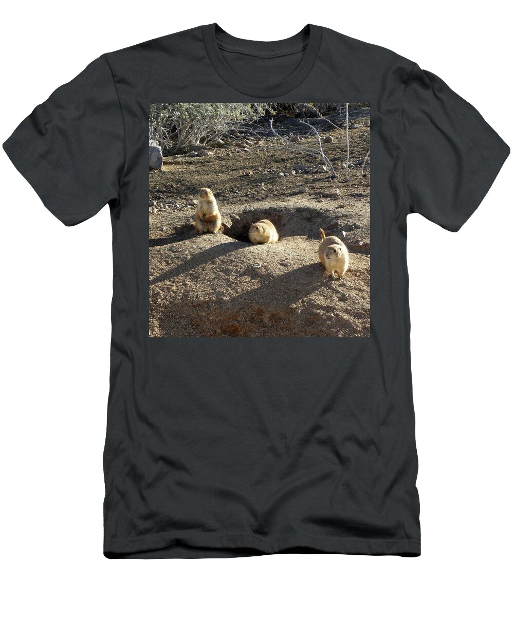 Prarie T-Shirt featuring the photograph The Three Stooges by Kim Galluzzo