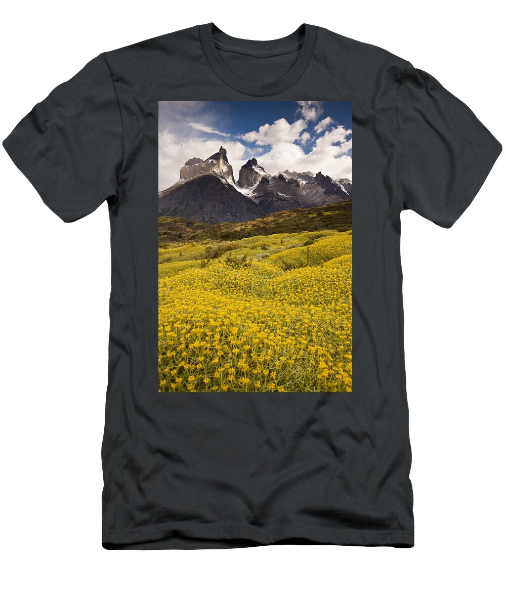 00451389 T-Shirt featuring the photograph Thorny Matabarrosa Flowers In Torres by Colin Monteath