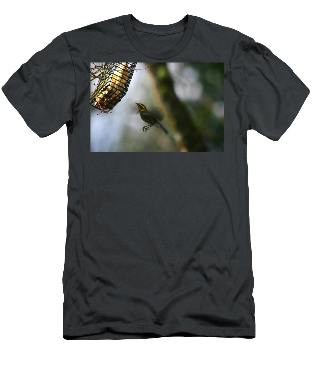 Birds T-Shirt featuring the photograph Townsend Warbler in Flight by Kym Backland
