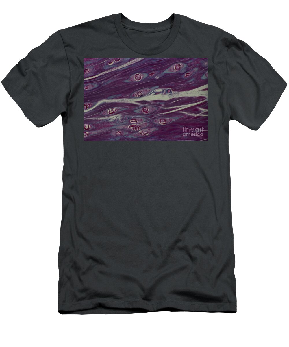 Micrograph T-Shirt featuring the photograph Trichinella Spiralis by M. I. Walker