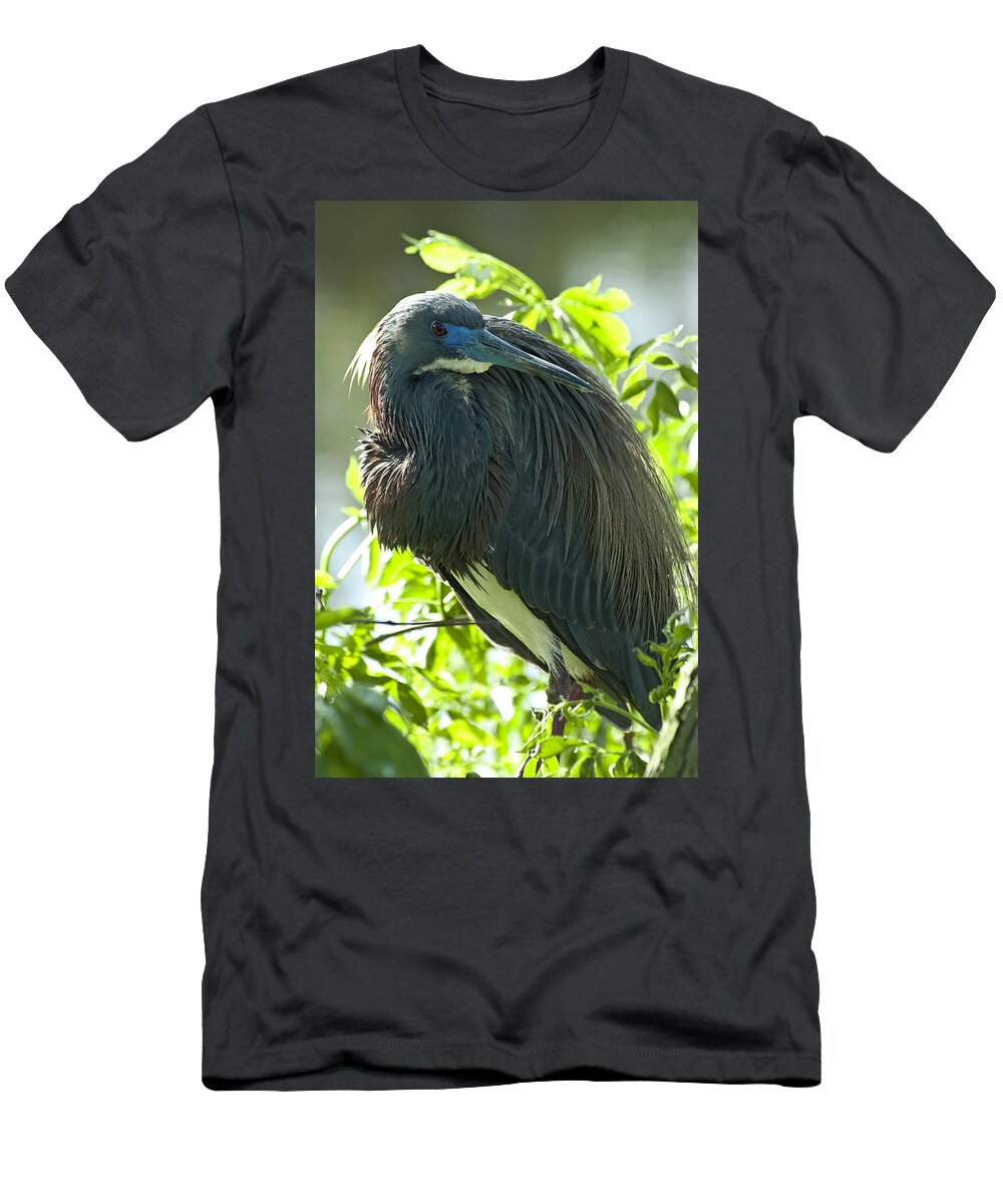 Egretta Tricolor T-Shirt featuring the photograph Tricolor Heron by Carolyn Marshall
