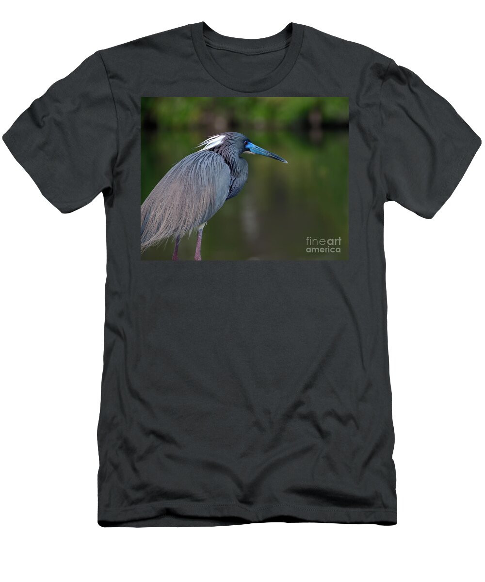 Tri Colored Heron T-Shirt featuring the photograph Tricolored Heron by Art Whitton