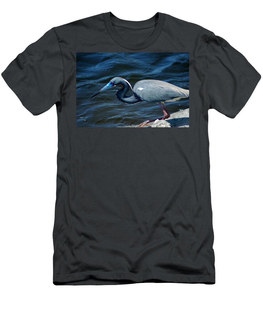 Tricolored Heron T-Shirt featuring the photograph TriColored Heron by David Weeks