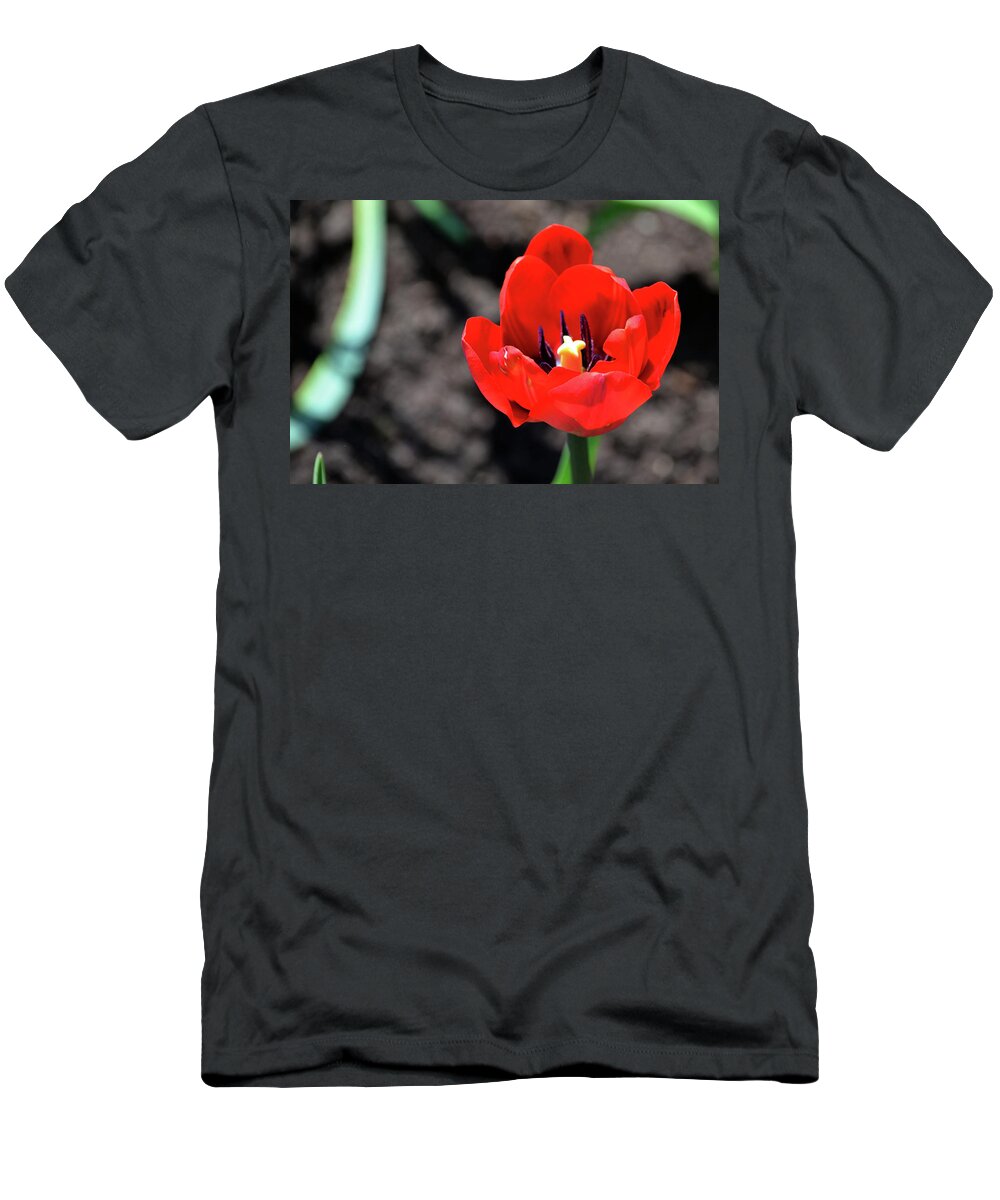 Tulips T-Shirt featuring the photograph Tulips Blooming by Pravine Chester