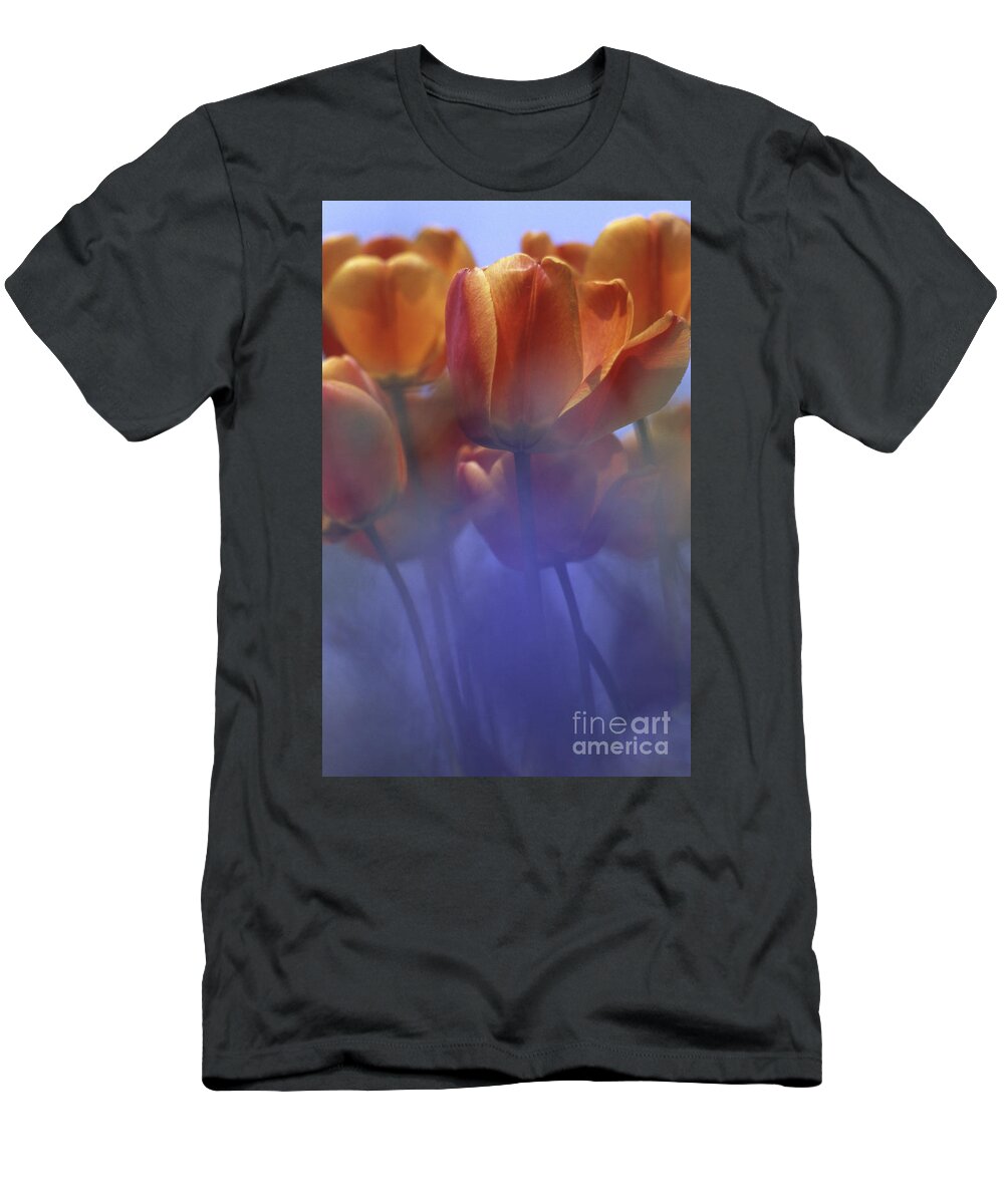Tulip T-Shirt featuring the photograph Tulips in Neighbors Garden by Heiko Koehrer-Wagner