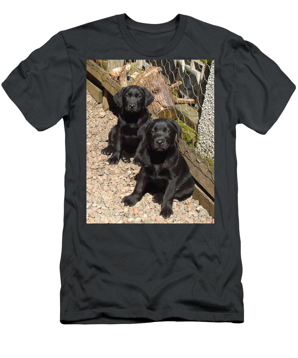 Dog T-Shirt featuring the photograph Twin Black Labrador Puppies by Richard James Digance