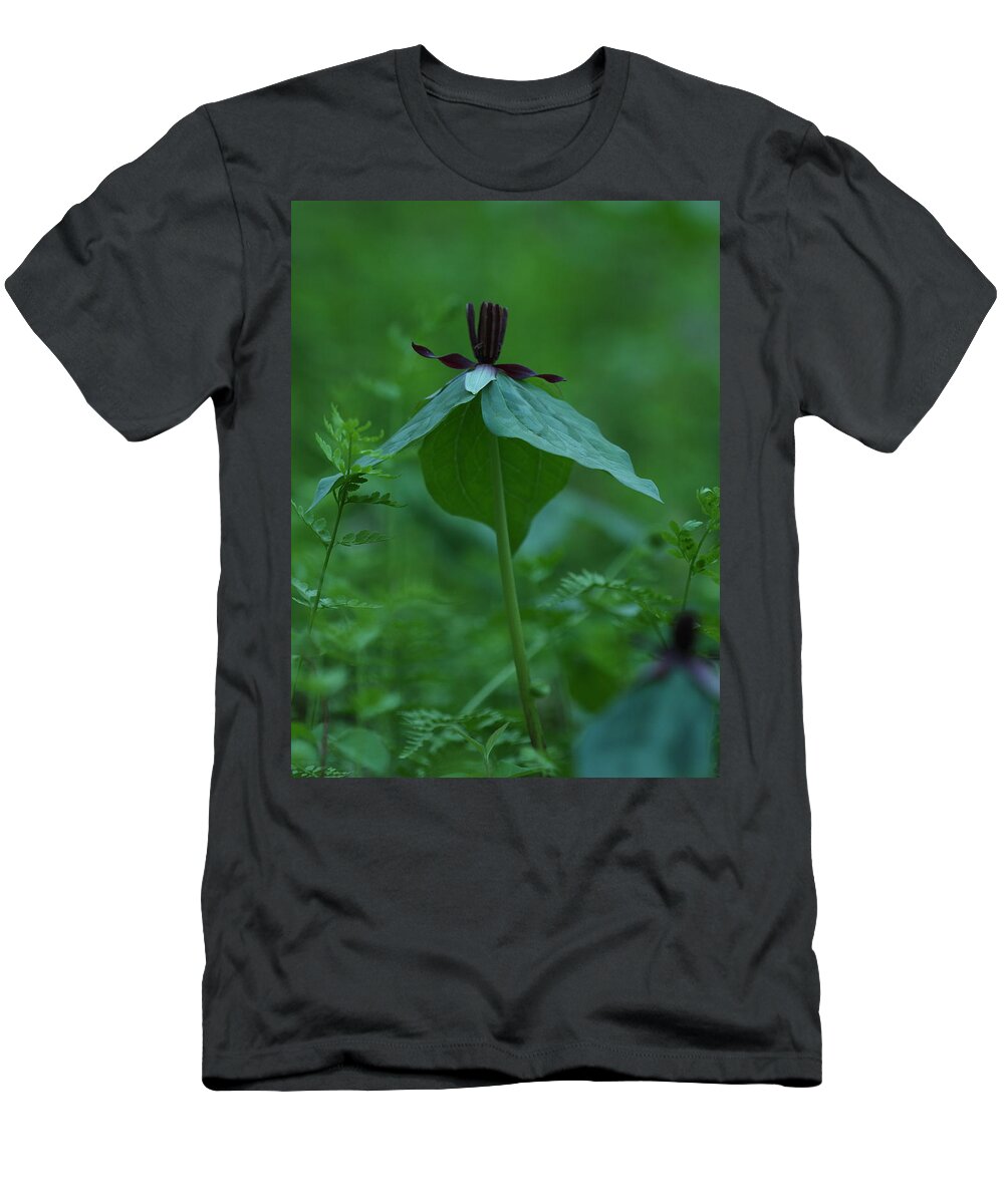 Trillium Stamineum T-Shirt featuring the photograph Twisted Trillium by Daniel Reed