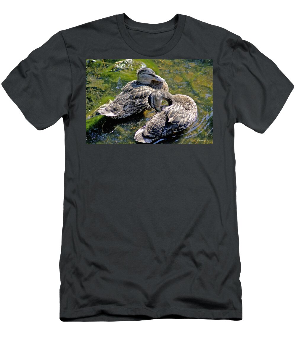 2d T-Shirt featuring the photograph Wading by Brian Wallace