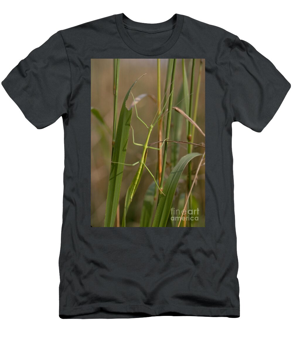 Animal T-Shirt featuring the photograph Walking Stick Insect by Ted Kinsman