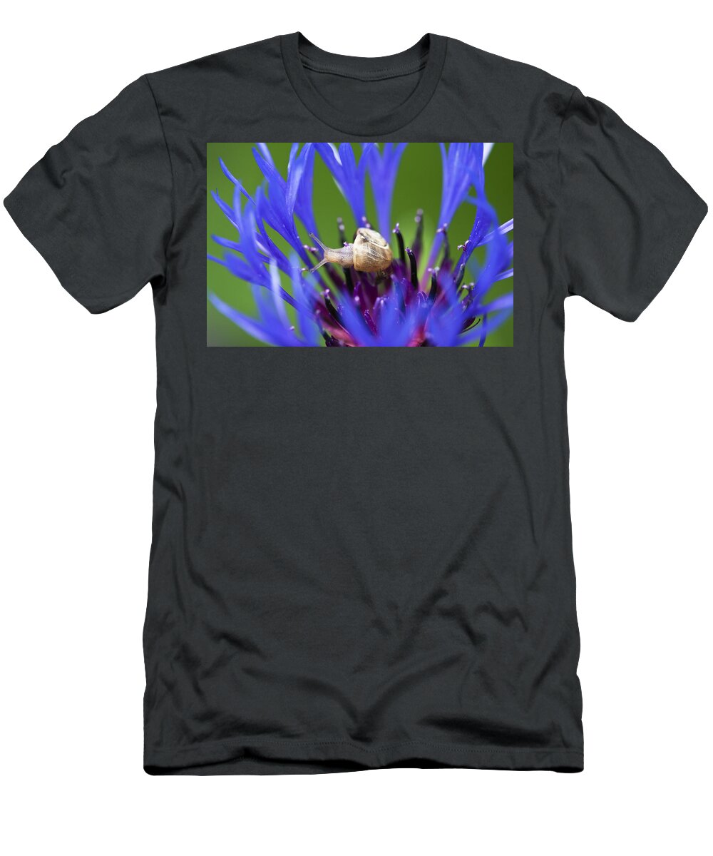Mp T-Shirt featuring the photograph White-lipped Grove Snail Cepaea by Konrad Wothe