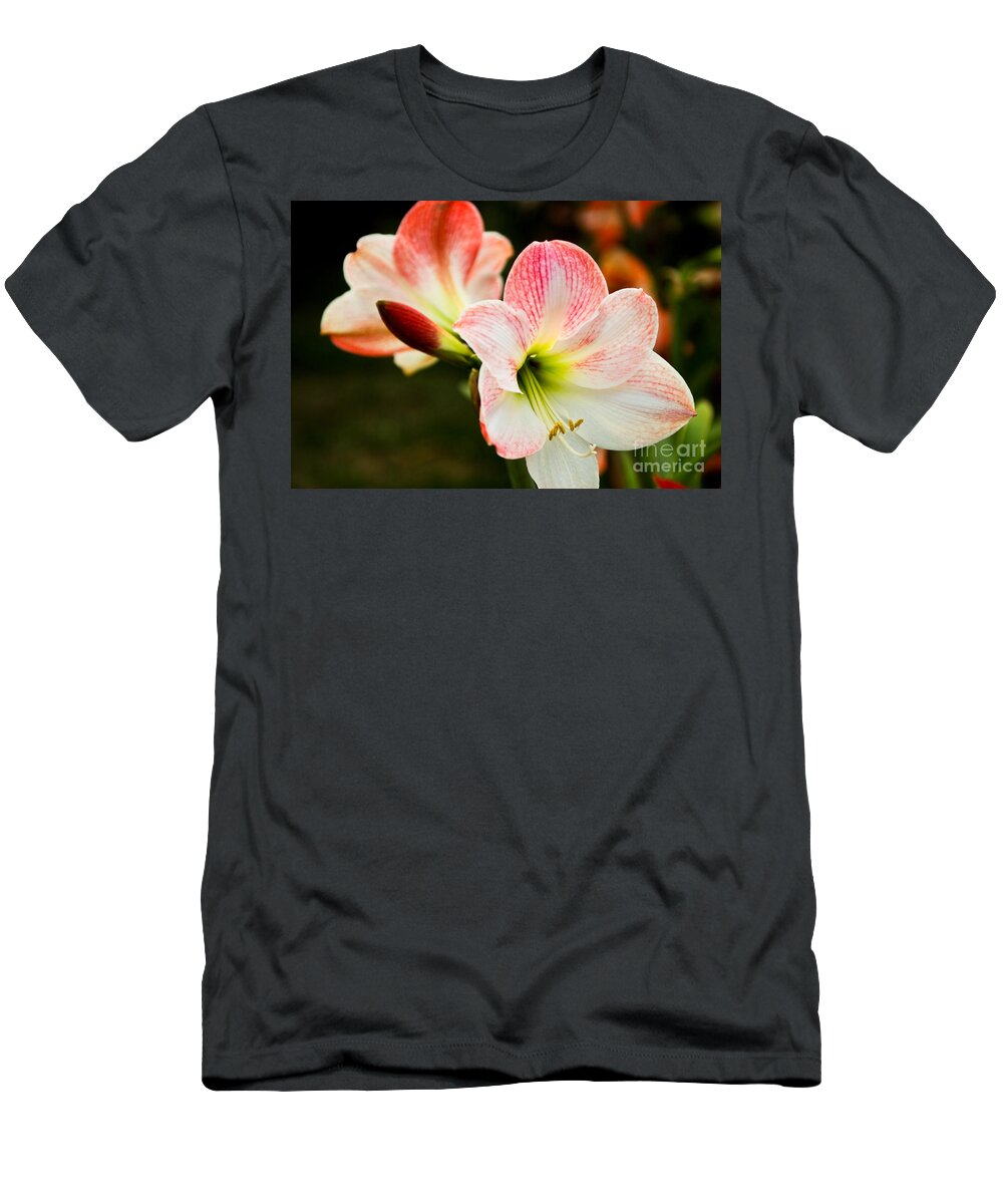 Flower T-Shirt featuring the photograph White n Pink by Syed Aqueel