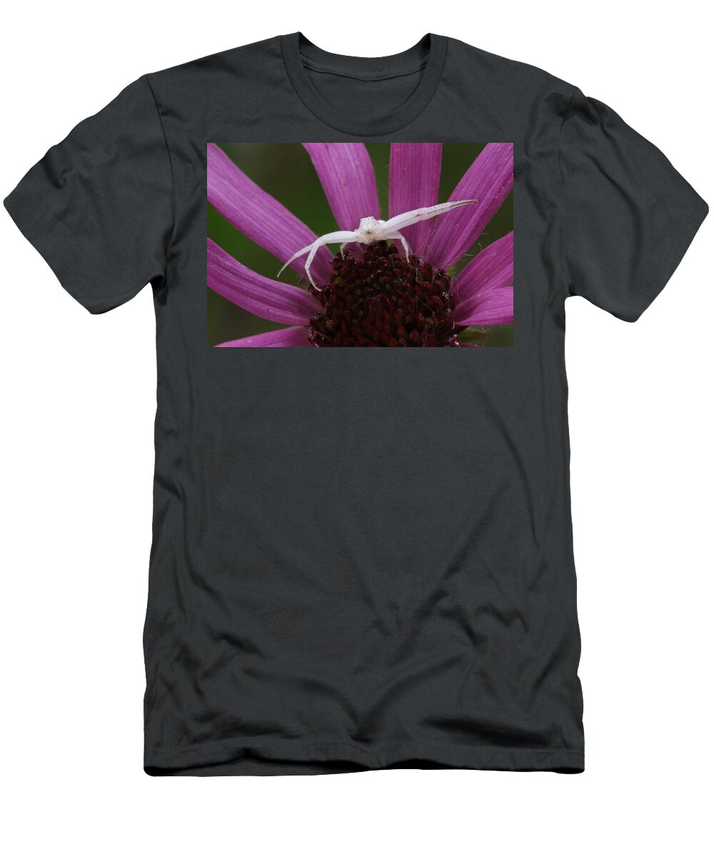 Whitebanded Crab Spider T-Shirt featuring the photograph Whitebanded Crab Spider On Tennessee Coneflower by Daniel Reed