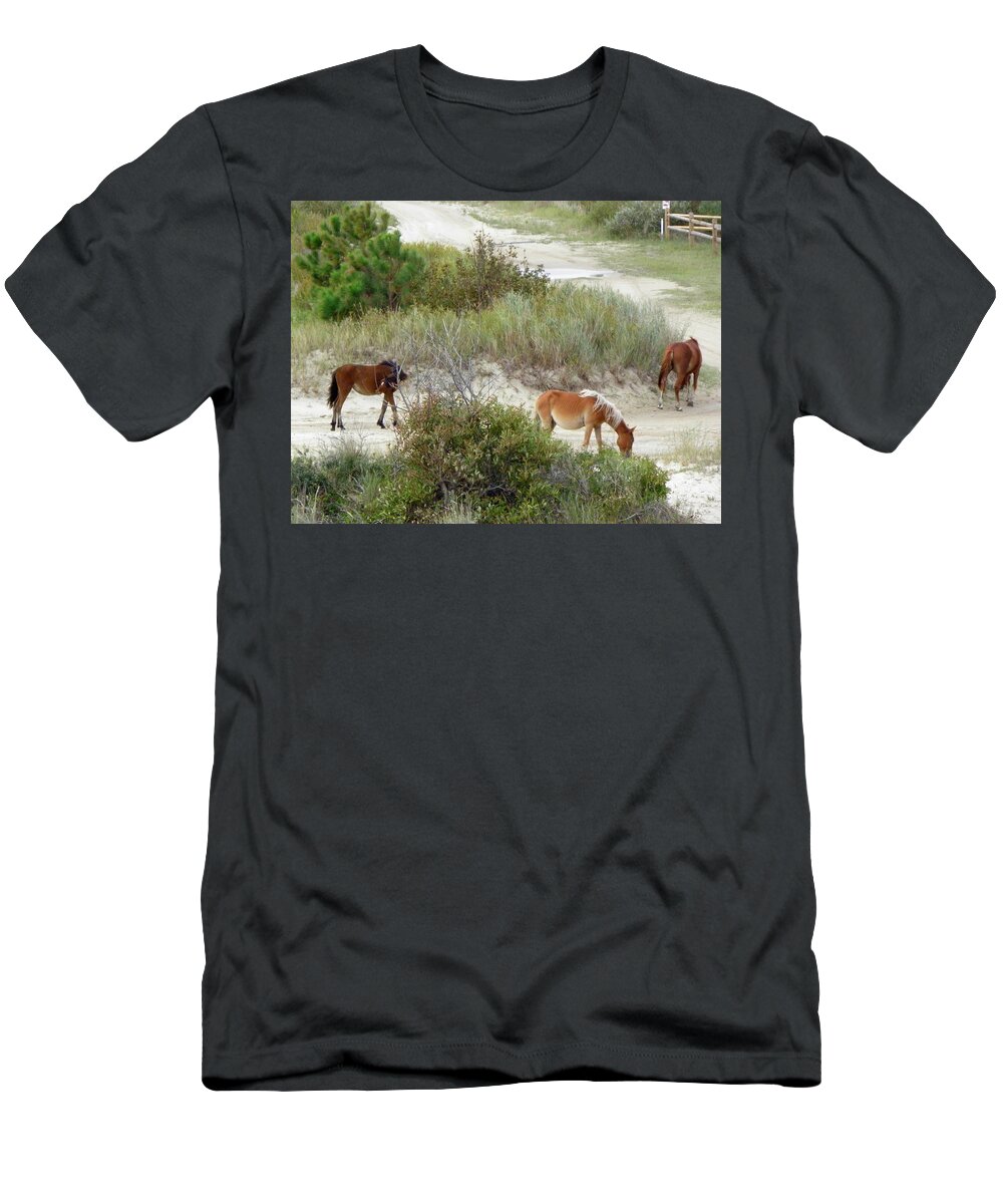 Wild T-Shirt featuring the photograph Wild Spanish Mustangs of the Outer Banks of North Carolina by Kim Galluzzo Wozniak