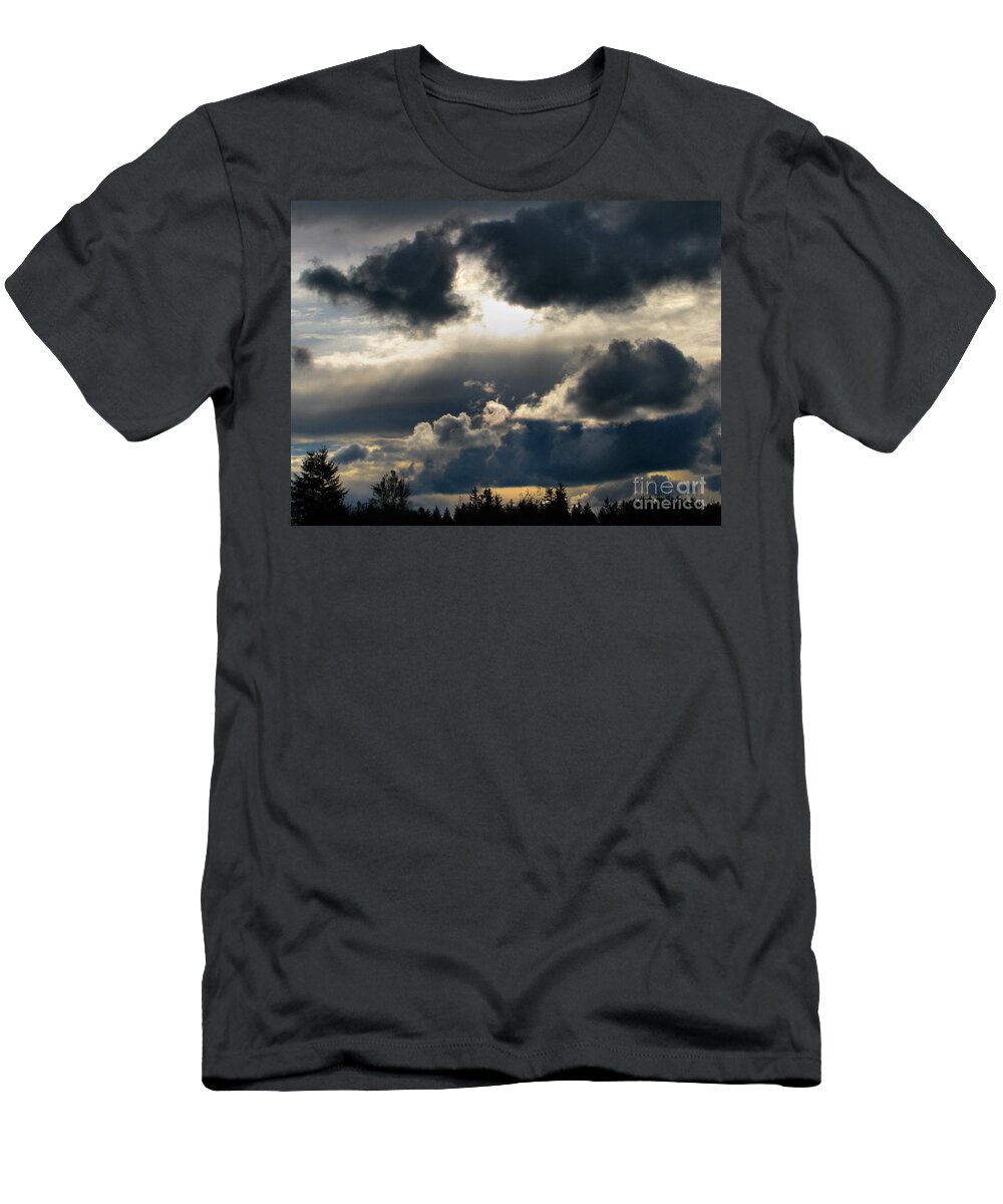 Winter T-Shirt featuring the photograph Winter Approaching by Rory Siegel