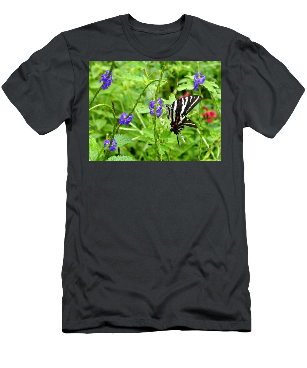 Nature T-Shirt featuring the photograph Zebra Swallowtail on Blue Porterweed by Judy Wanamaker